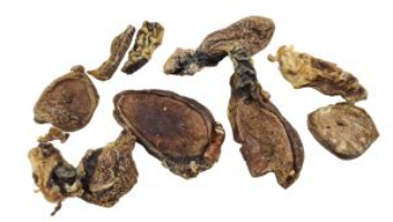 Disques de testicules de taureau