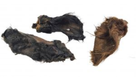 Oreilles de boeuf allemandes avec coquille et fourrure