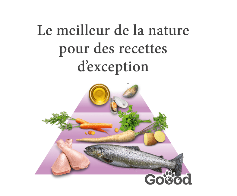 Pâtée chien senior à la dinde fermière & truite durable (sans céréales)