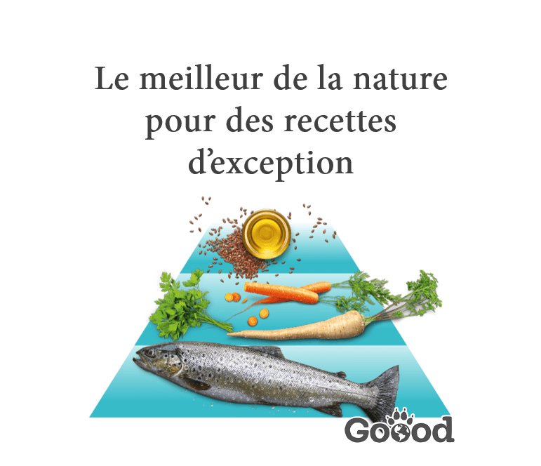 Croquettes chien adulte à la truite durable sans céréales