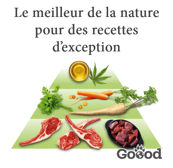 Pâtée chien adulte à l'agneau fermier (sans céréales) - 800 g