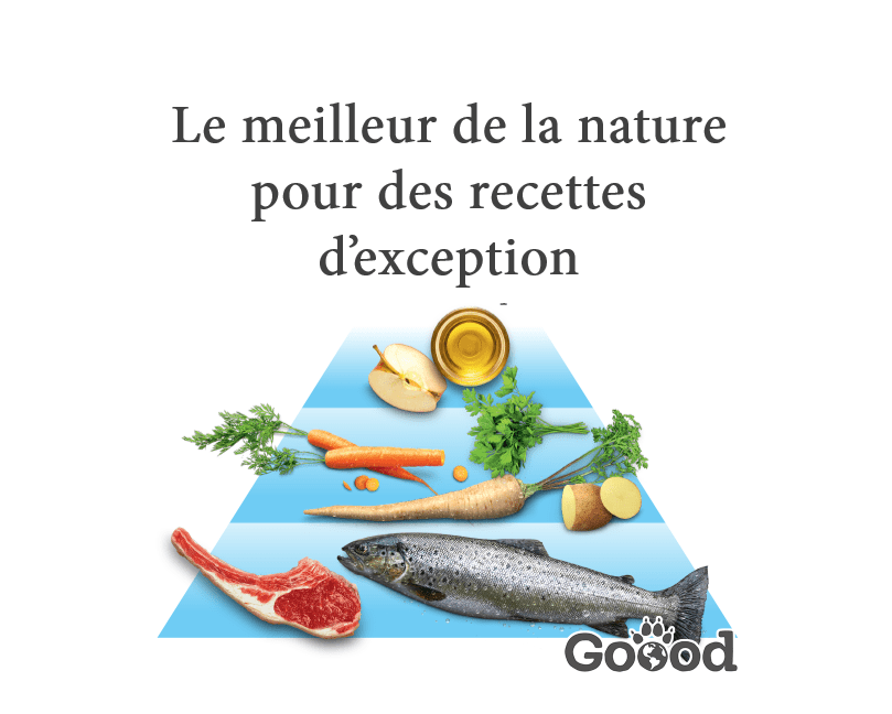 Pâtée chien junior à l'agneau fermier & truite durable (sans céréales) 800 g